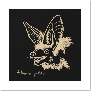 Pallid bat Posters and Art